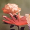 feliciaw413